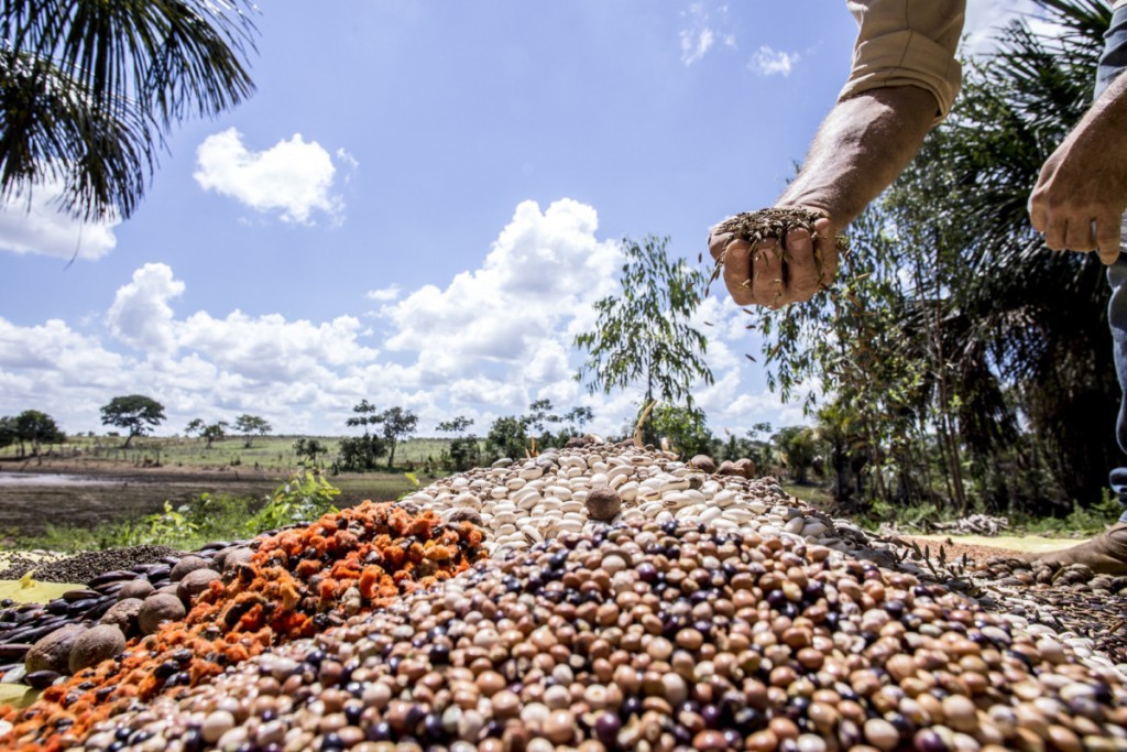 Agronegócio sustenta 21% do PIB e emprega metade da mão de obra