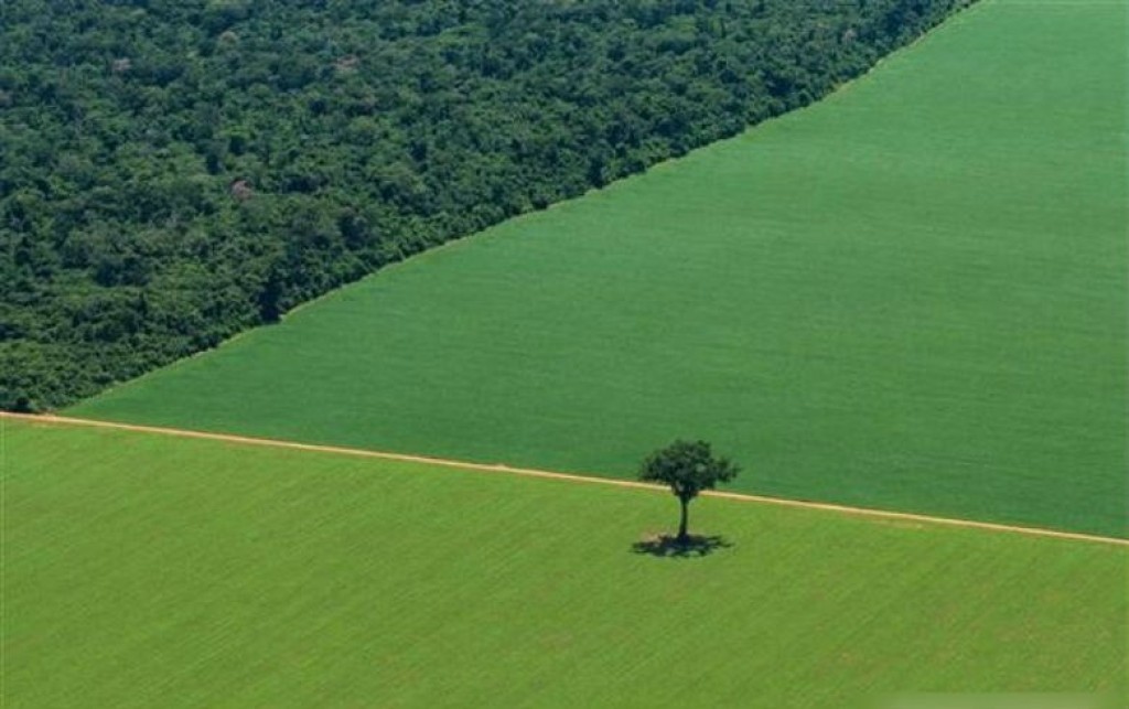 Justiça suspende decisão do Cade que apontou formação de cartel e abuso de poder econômico