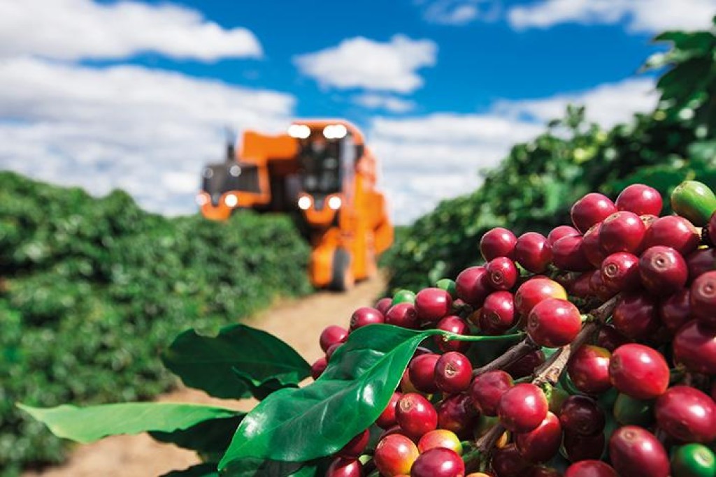 Funcafé terá R$ 7,18 bilhões para impulsionar a safra 2025/26