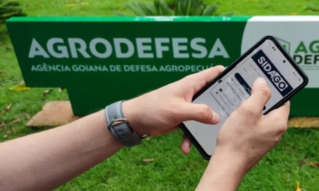 Produtores têm até 31 de dezembro para atualizar declaração de rebanho