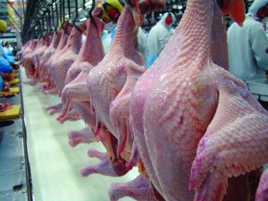 Exportações de carne de peru crescem 23% e receita mais que dobra em 2026