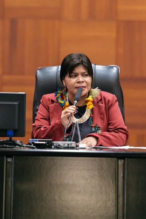 Eliane Xunakalo encerra mandato na ALMT com foco em direitos sociais e inclusão