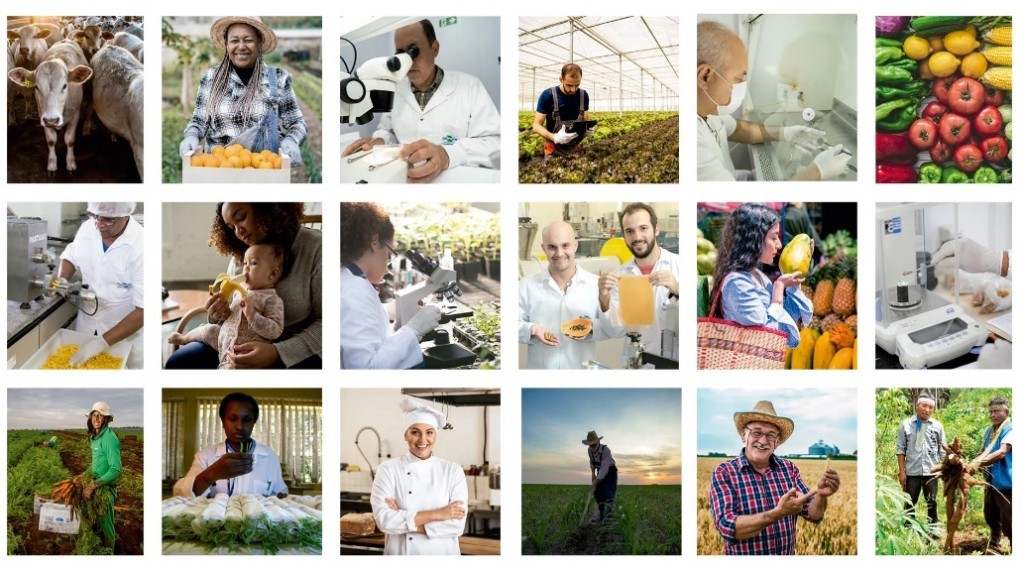 Pilar da transformação do agronegócio brasileiro recebe reforço no orçamento 2026