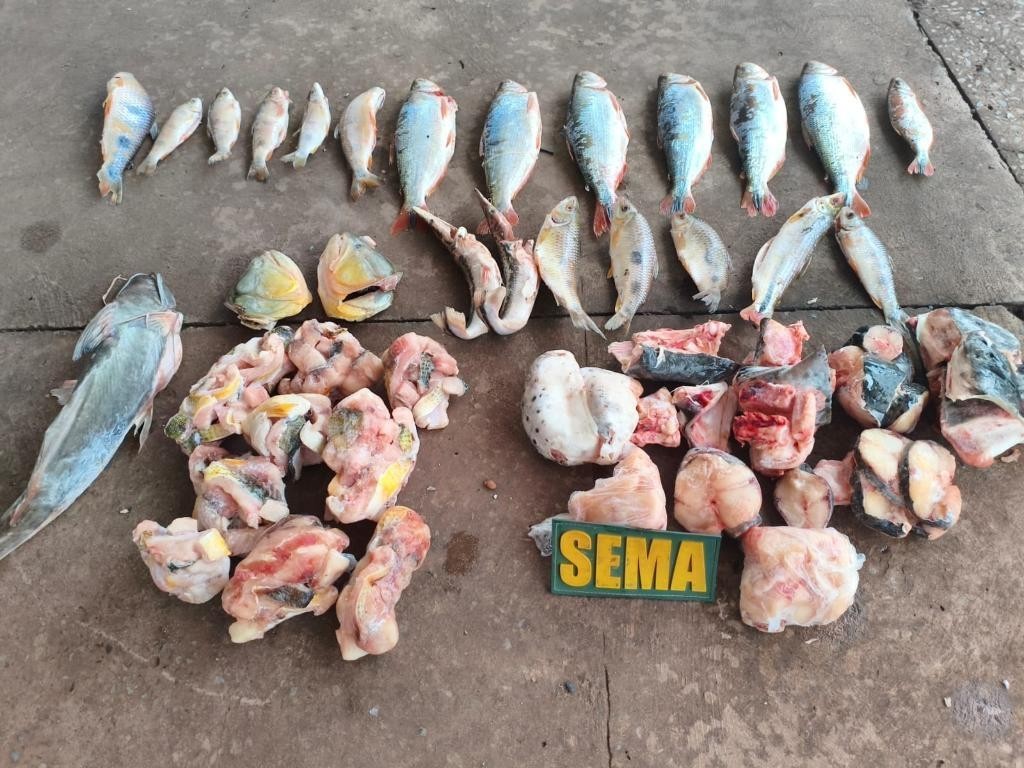 Sema e PM apreendem pescados irregulares em estabelecimento às margens do Rio Cuiabá
