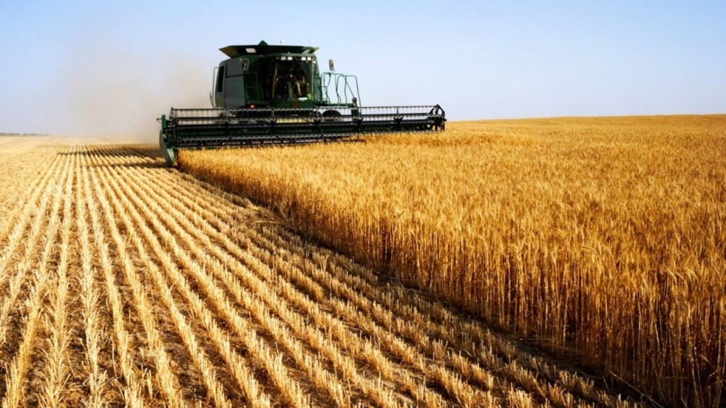 Colheita de soja no Brasil atinge 70% da área plantada