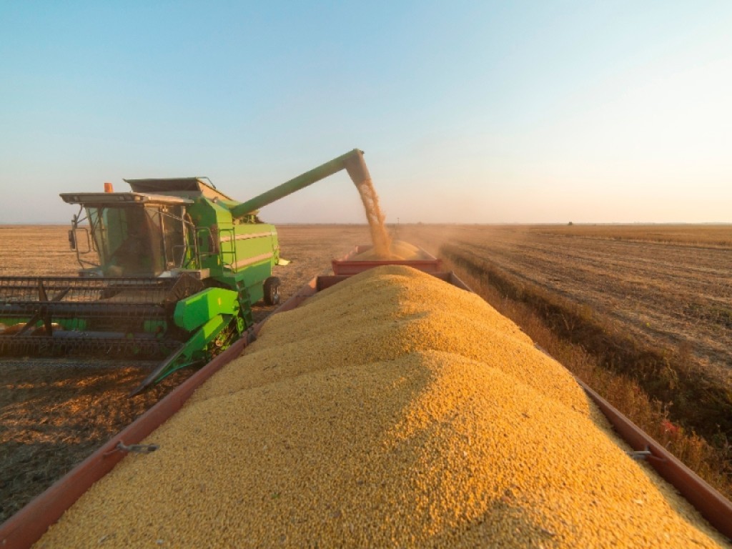 Sinop alcança US$ 1,71 bilhão em exportações e consolida 2º lugar em Mato Grosso; primeiro lugar no Nortão