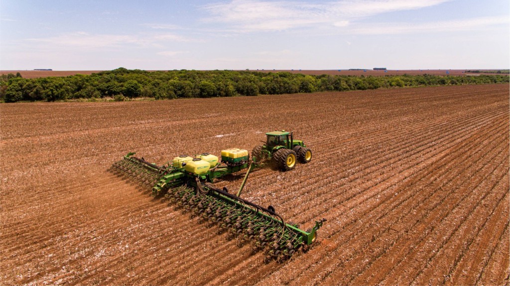 Conab projeta um aumento de 2,4% na área plantada com milho safrinha