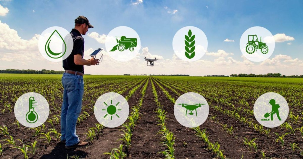 Lei permite converter créditos de ICMS em capital de giro para produtores rurais