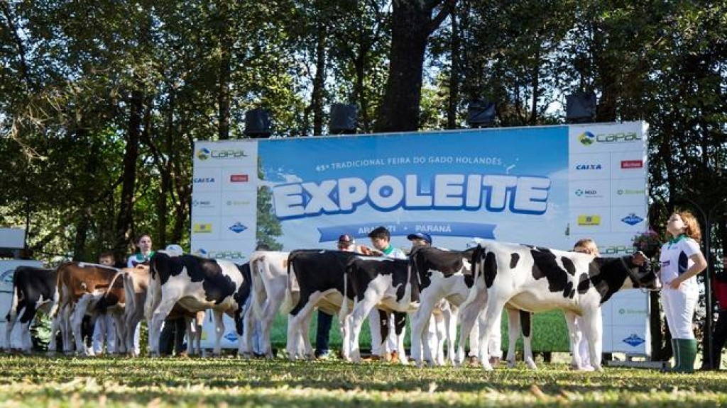 Arapoti abre 51ª Expoleite com foco em genética leiteira