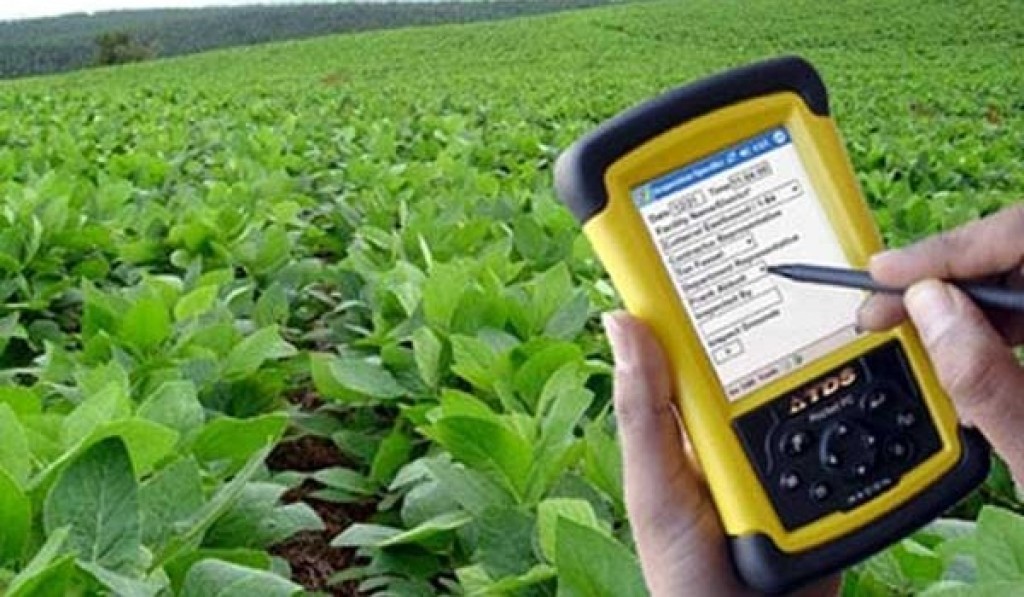 Safra cresce em área, mas recua em volume e expõe limite da produtividade