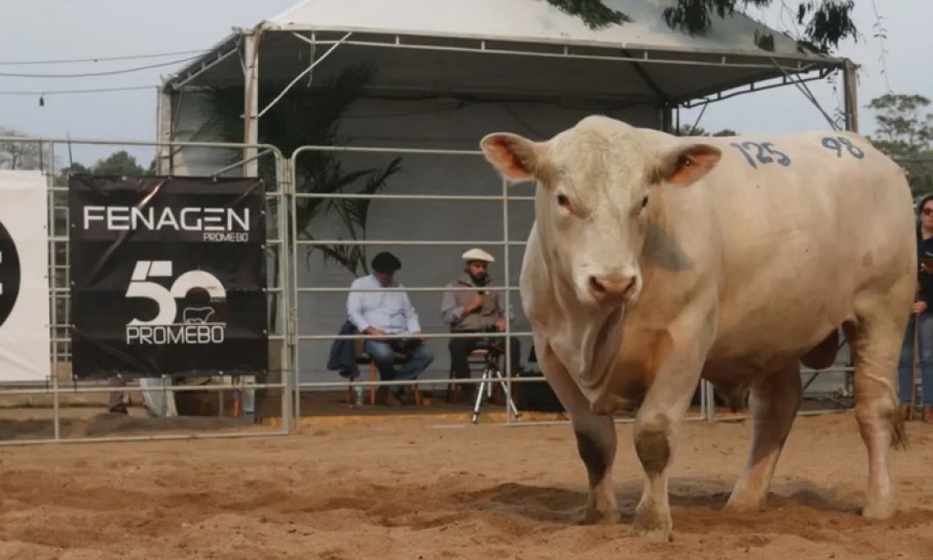 Fenagen Promebo 2025 começa hoje com foco no melhoramento genético