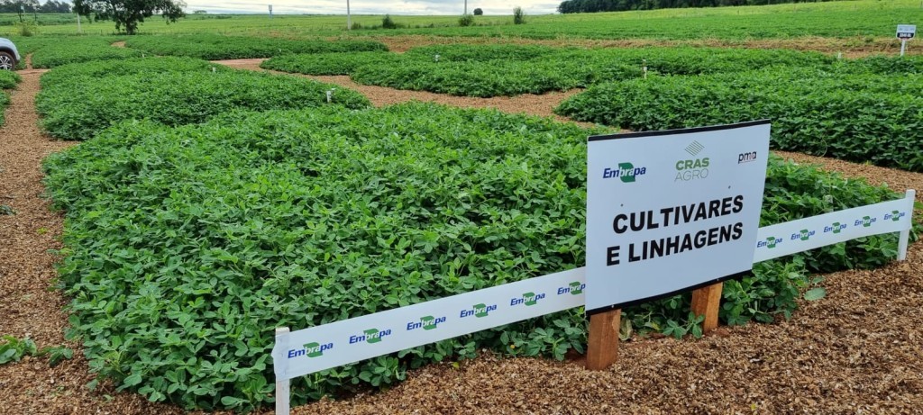 Polêmica faz FPA retirar de tramitação o projeto da Lei de Cultivares