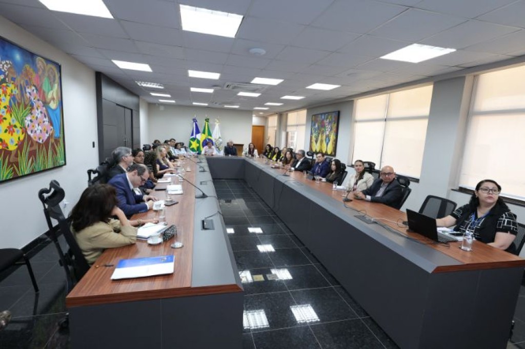 Rede estadual discute expansão da proteção à pessoa idosa