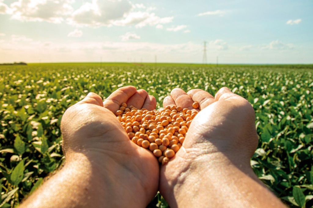 Tarifaço: CNA alerta para as ameaças aos produtos do agronegócio brasileiro