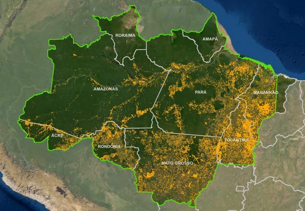 Estudo mostra que atuação de lideranças do agronegócio impulsionam desenvolvimento sem elevar desmatamento