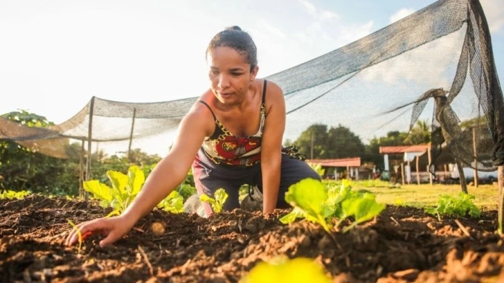 Estado acelera no agro e lidera crescimento de empregos formais em 2025