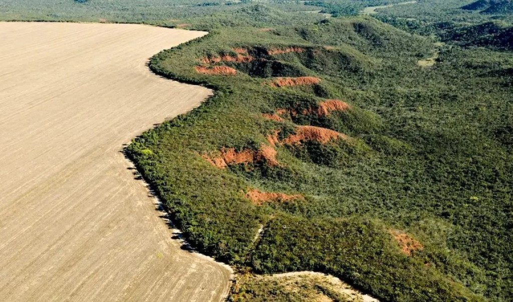 Agrônomos lançam manifesto e defendem união para fortalecer o agro no Cerrado