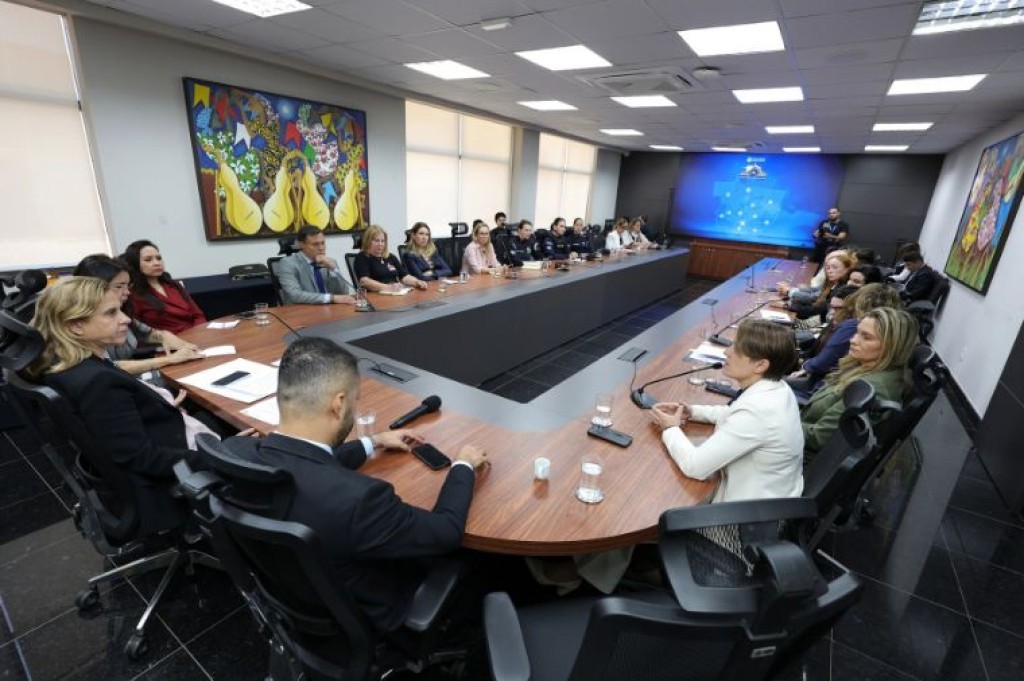 MP participa de reunião sobre monitoramento eletrônico de agressores