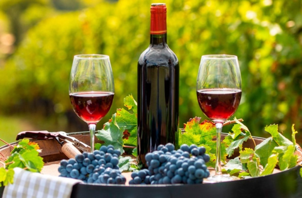 Brasil cresce 38% na produção de vinho em 2025 e se destaca em cenário global