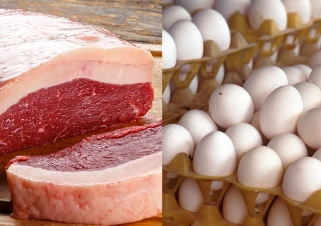 Produção de carnes e ovos deve bater novo recorde no Brasil agora em 2025