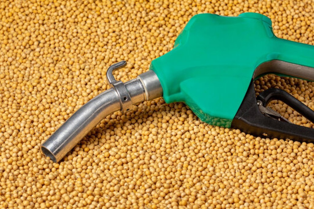 PIB da cadeia de óleos e biodiesel deverá crescer 11% em 2025 impulsionado por supersafra