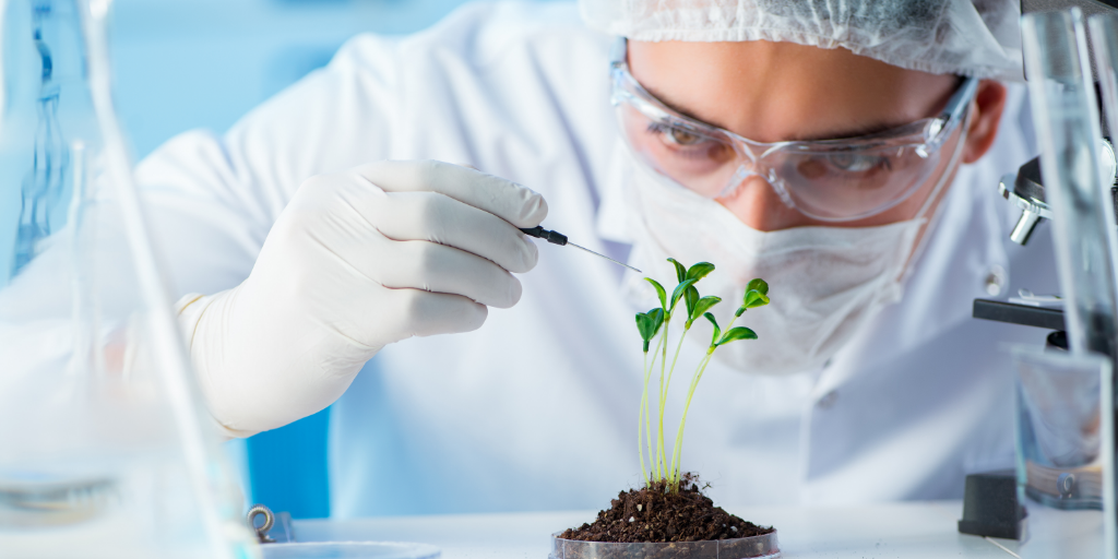 Biodiversidade passa de tema ambiental a risco e oportunidade para o agro