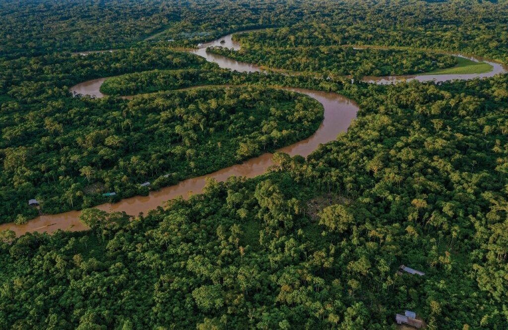 MapBiomas diz que Amazônia encolheu em 52 milhões de hectares