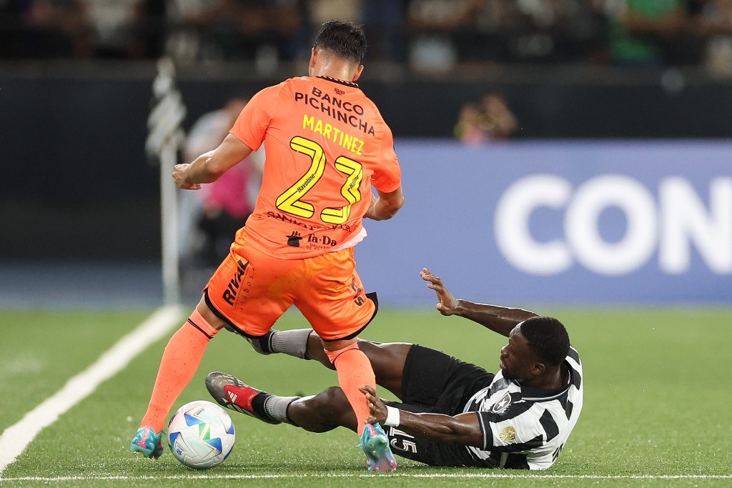 Botafogo é eliminado da Libertadores após derrota em casa