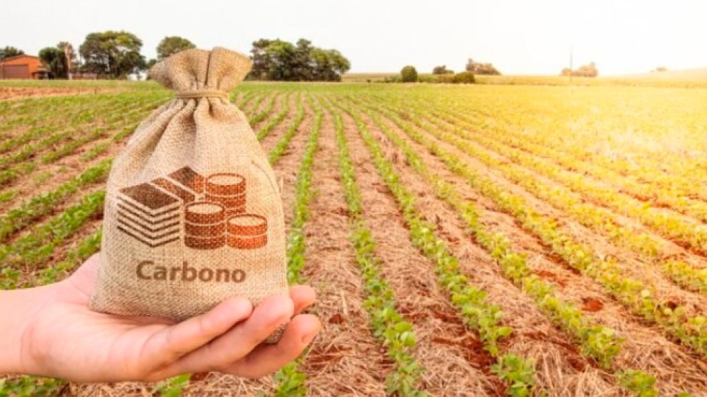 Pesquisas preparam agro para mercado de carbono que já gera R$ 556 bilhões por ano