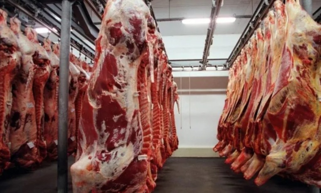 Vendas de carne bovina cresceram 28% e chegaram a quase R$ 9 bilhões