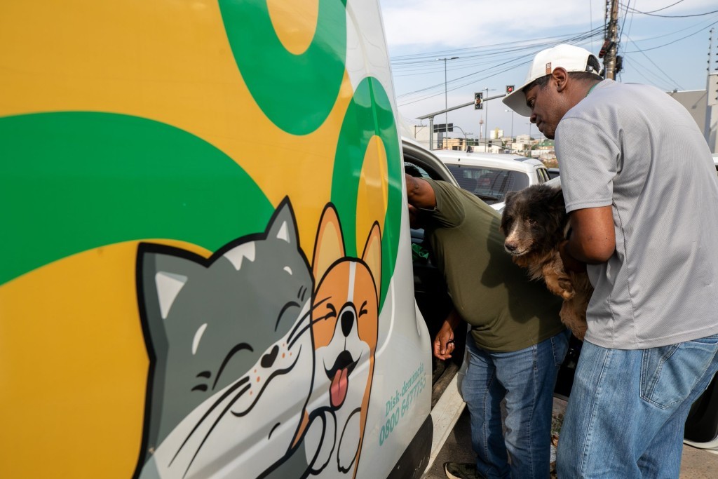 Prefeitura atende denúncia de maus-tratos e resgata animais em situação de emergência em Cuiabá