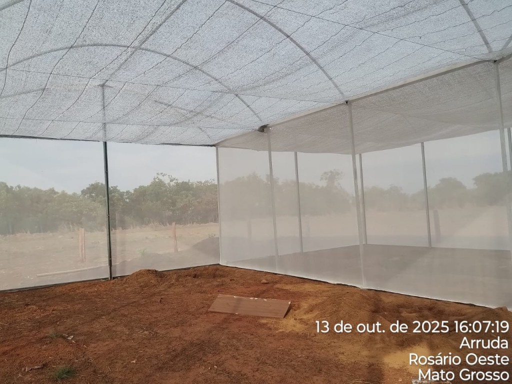 Com apoio de Juca do Guaraná, primeiro projeto de aquaponia em áreas rurais de MT será entregue ainda em outubro