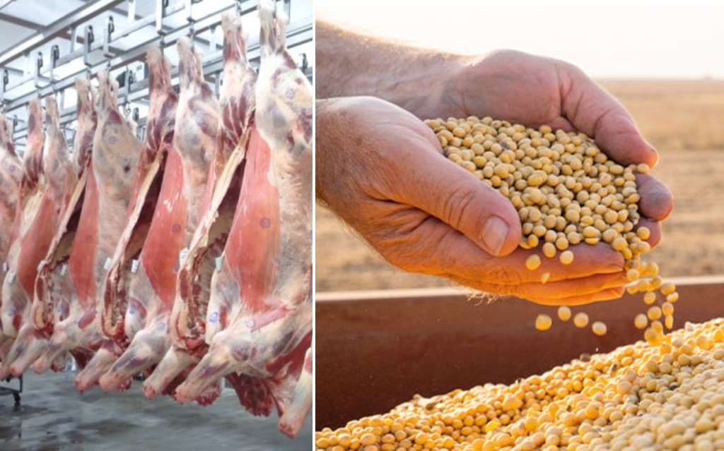Brasil pode unificar rastreabilidade para blindar soja e carne à China e à União Europeia