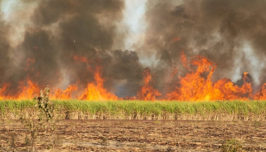Aprosoja-MT diz como evitar problemas legais após incêndios nas lavouras