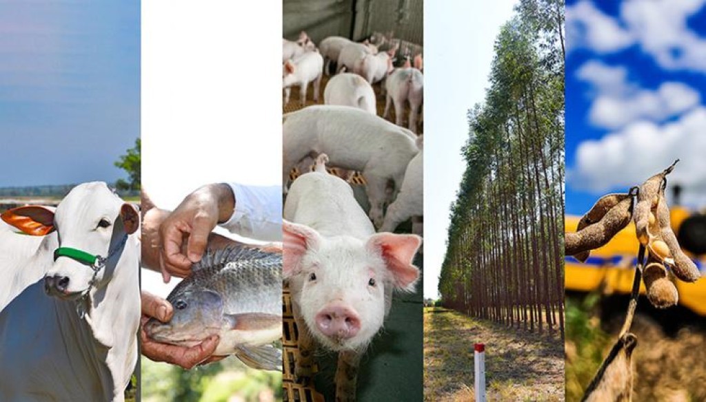 Produtores vão discutir os rumos da economia e do comércio mundial