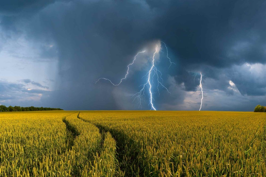 Plantio da soja começa no Brasil sob risco de El Niño muito forte