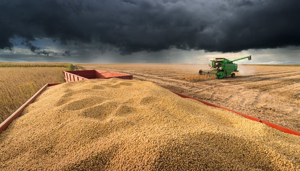 Brasil projeta 367 milhões de toneladas de grãos, mas El Niño ameaça R$ 33 bilhões da soja
