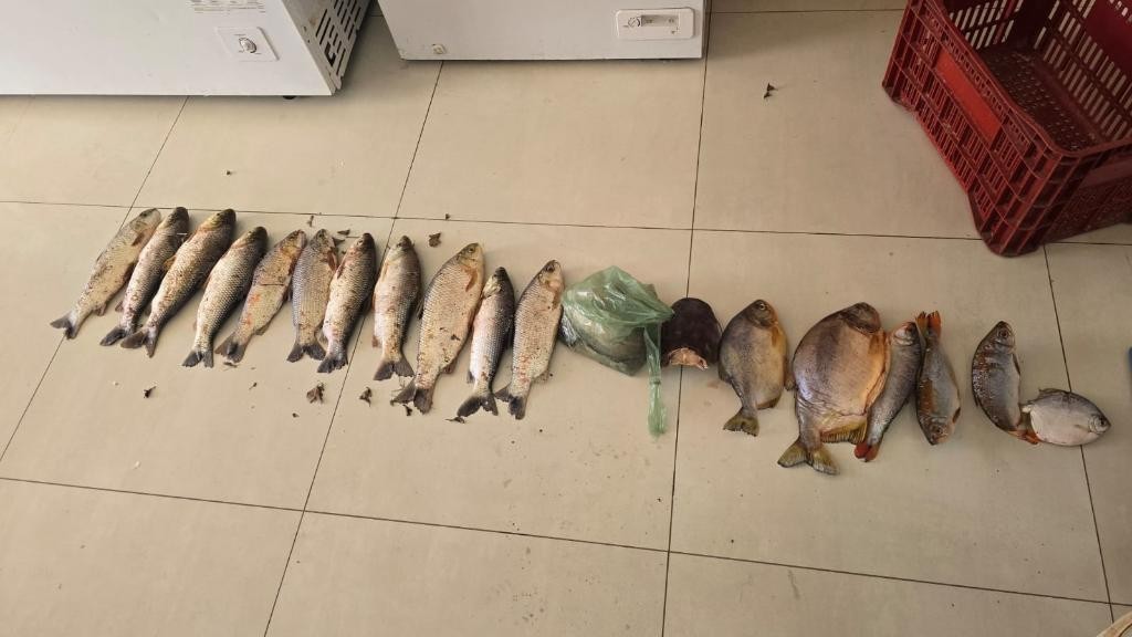 Polícia Civil prende suspeitos de pesca predatória na região do Engordador em Várzea Grande