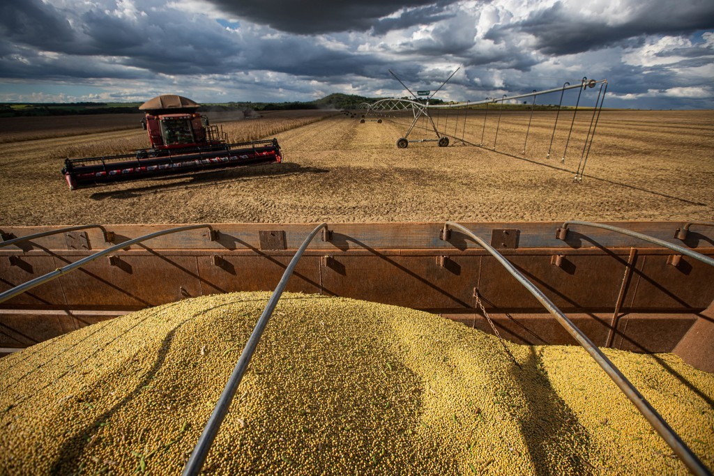 Produção avança no Maranhão e Piauí e reforça expansão agrícola do Matopiba