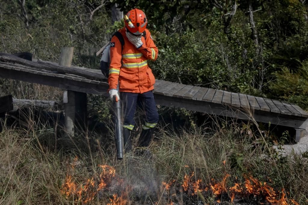 Corpo de Bombeiros combate seis incêndios florestais nesta quinta-feira (8)