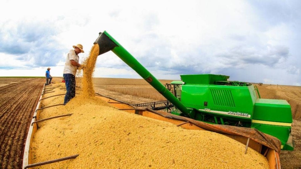 IBGE revisa safra e reforça posição entre os maiores produtores do país