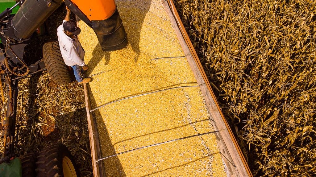 Mato Grosso lidera produção agropecuária do país com projeção de R$ 206 bilhões em 2026