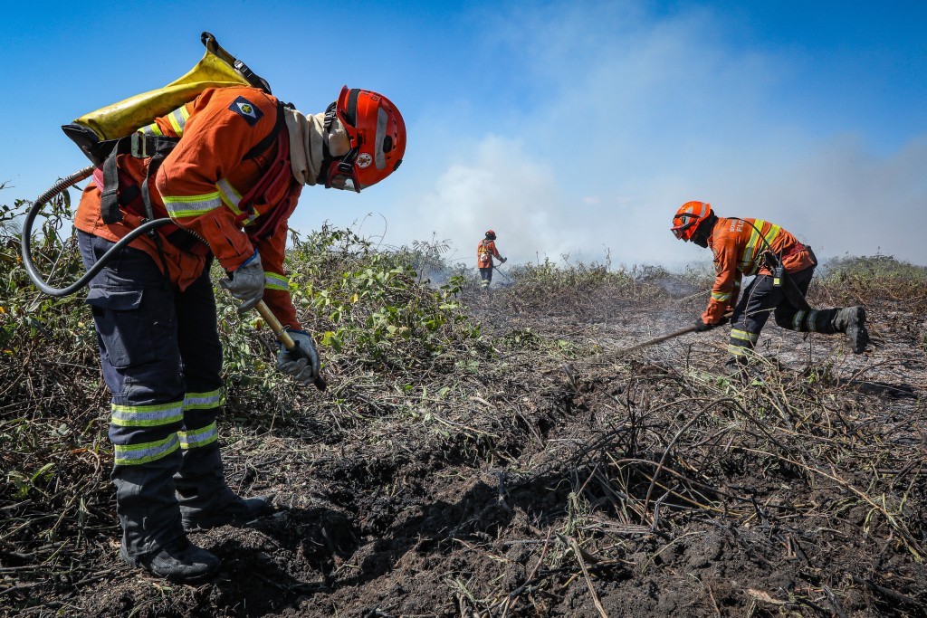 Governo de Mato Grosso publica decreto que estabelece período proibitivo de uso do fogo