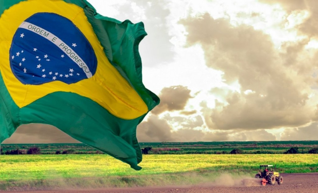 PIB do agro cresceu 12,2%, alcançou R$ 3,2 trilhões e ampliou peso na economia