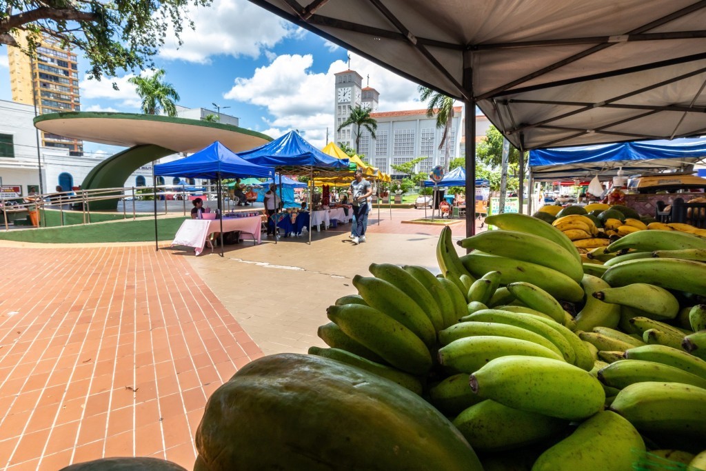 Feira valoriza venda direta do produtor na Praça Alencastro