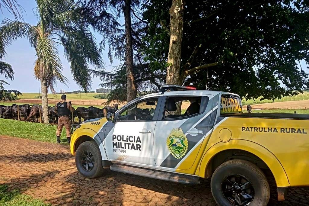 Programa que reduziu roubos no campo enfrenta gargalo de comunicação