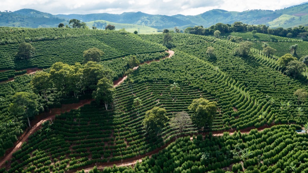 Agro exporta R$ 45,6 bilhões e mantém 3º lugar no país