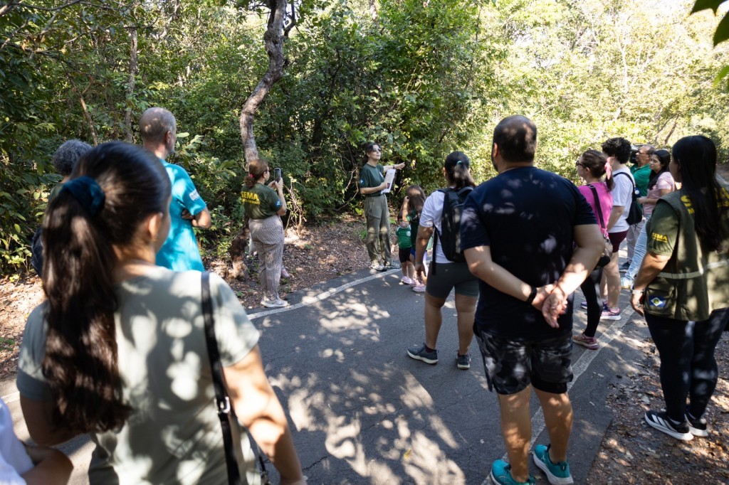 Atividades guiadas no Parque Mãe Bonifácia resgatam importância de árvores nativas