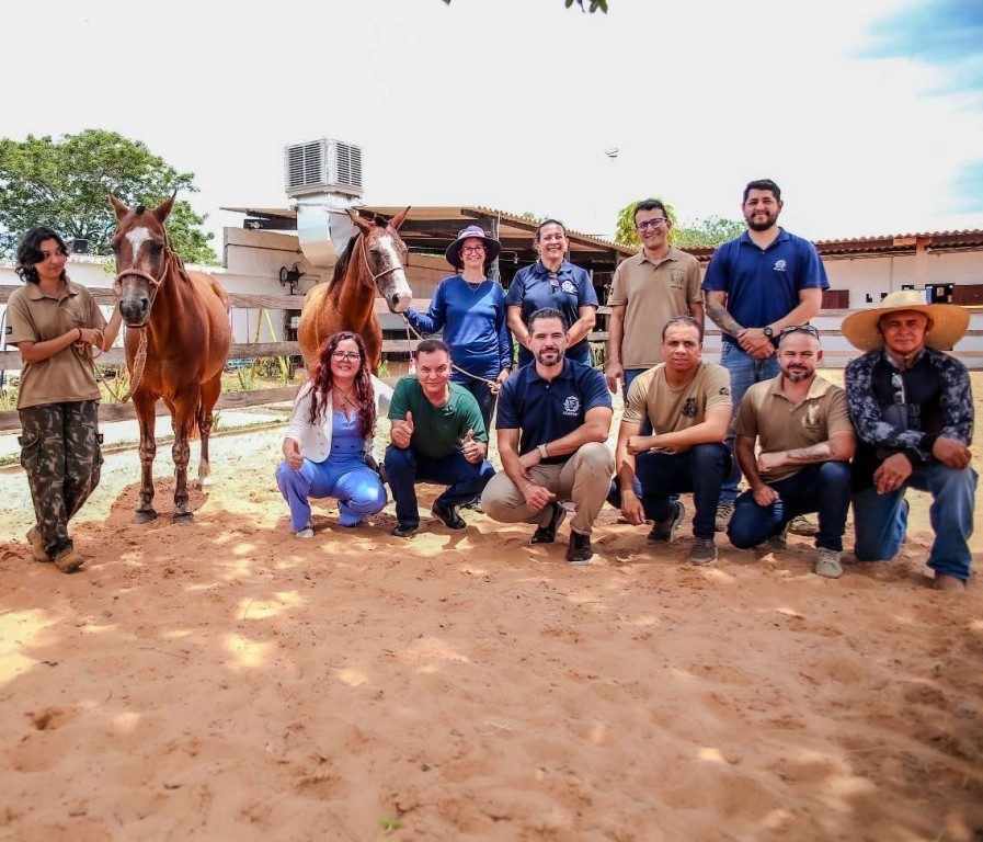 Botelho doa cavalos para ampliar atendimentos no Centro de Equoterapia na Medida