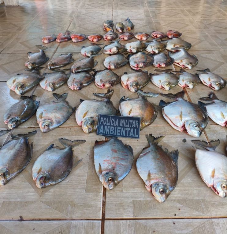 Batalhão Ambiental da PM prende homem por armazenar pescado ilegal em Nova Canaã do Norte
